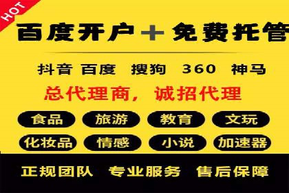 竞价广告赚钱秘籍：百度实战案例
